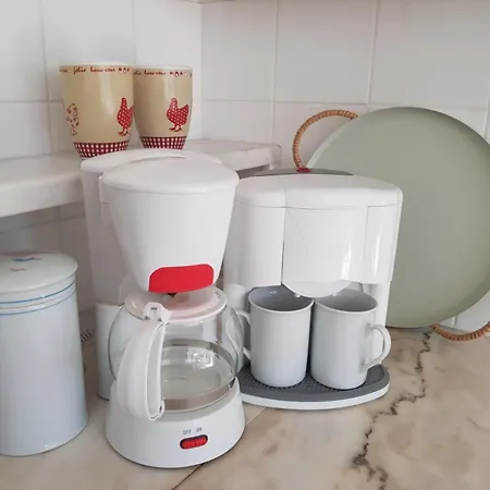 L'hirondelle Du Coulin *