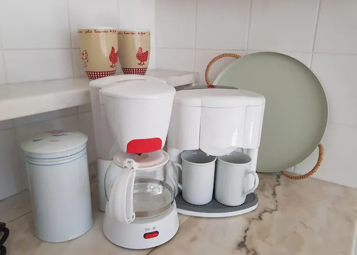 L'hirondelle Du Coulin *